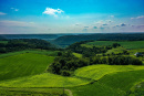 DJI_0262.jpg