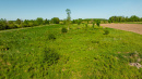 DJI_0262.jpg