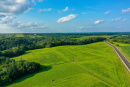 DJI_0280.jpg