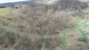 DJI_0302.JPG