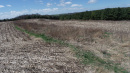 DJI_0303.JPG