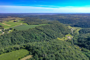 DJI_0330_1.jpg