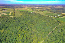 DJI_0335.jpg