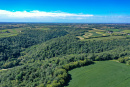 DJI_0339.jpg
