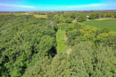 DJI_0343_1.jpg