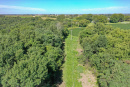 DJI_0345.jpg