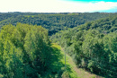 DJI_0346_1.jpg