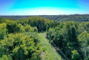 DJI_0347.jpg