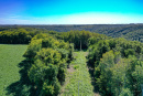 DJI_0348.jpg