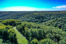 DJI_0350.jpg