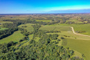 DJI_0362_1.jpg