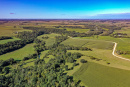 DJI_0363_1.jpg
