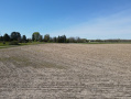 DJI_0366.JPG