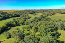 DJI_0368_1.jpg