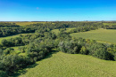 DJI_0369_1.jpg