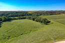 DJI_0371_1.jpg