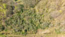 DJI_0375_1.jpg