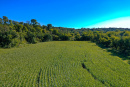 DJI_0376_1.jpg