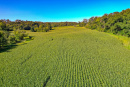 DJI_0378_1.jpg