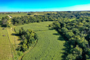DJI_0380_1.jpg