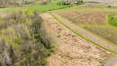 DJI_0387.jpg