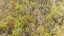 DJI_0395.jpg