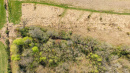 DJI_0403.jpg