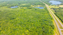 DJI_0421.jpg