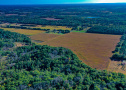 DJI_0426.jpg