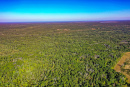 DJI_0428.jpg