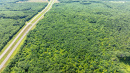 DJI_0429.jpg