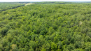 DJI_0433.jpg