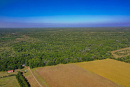 DJI_0447.jpg