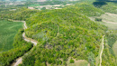 DJI_0453.jpg