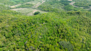 DJI_0460.jpg