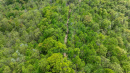 DJI_0464.jpg