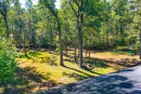 DJI_0466.jpg