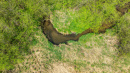 DJI_0490.jpg