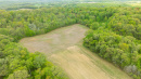 DJI_0501.jpg