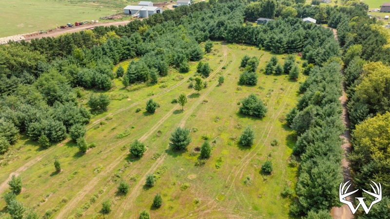 DJI_0505.jpg
