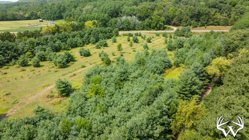 DJI_0506.jpg