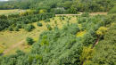 DJI_0506.jpg