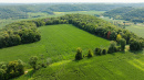 DJI_0507.jpg