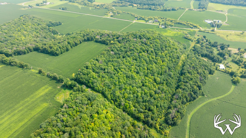 DJI_0509.jpg