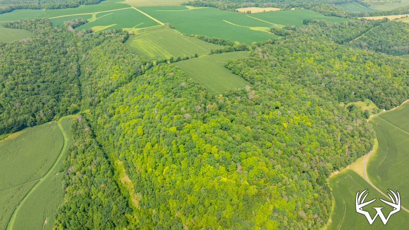 DJI_0515.jpg
