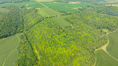 DJI_0515.jpg