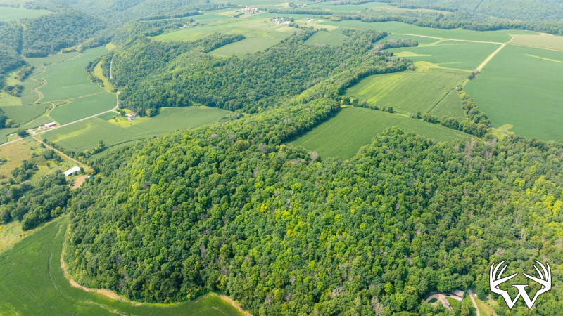 DJI_0519.jpg
