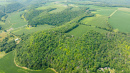 DJI_0519.jpg