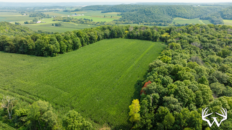 DJI_0525.jpg