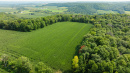 DJI_0525.jpg